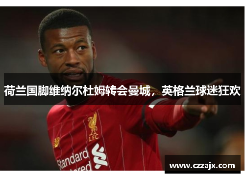 荷兰国脚维纳尔杜姆转会曼城，英格兰球迷狂欢