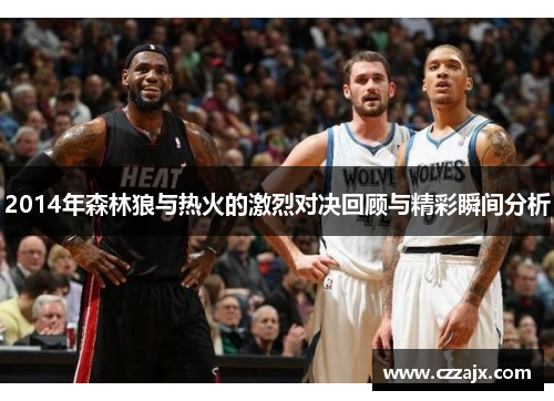 2014年森林狼与热火的激烈对决回顾与精彩瞬间分析