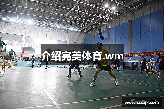 介绍完美体育.wm
